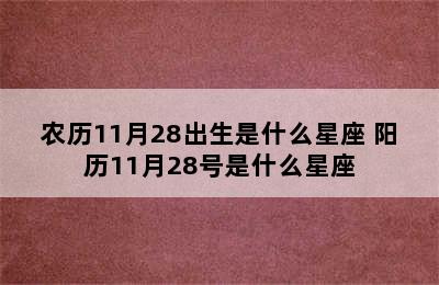 农历11月28出生是什么星座 阳历11月28号是什么星座